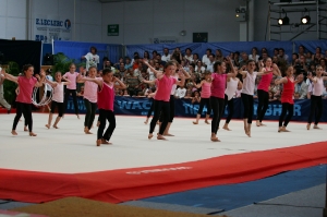 Gala 2010_14